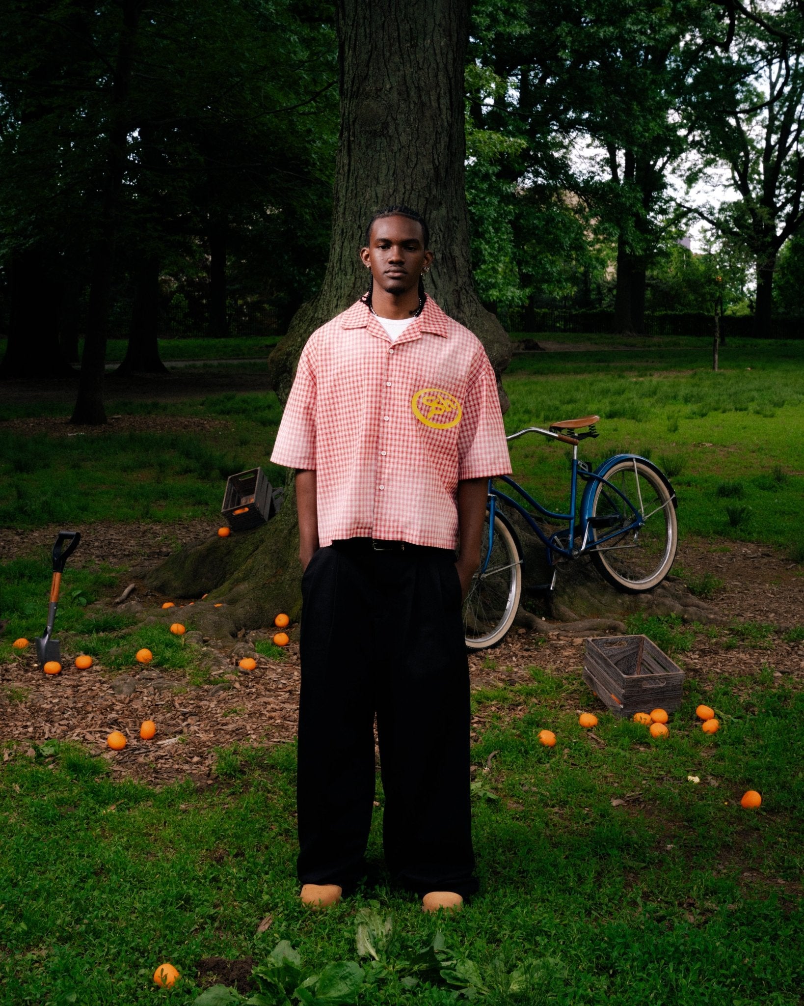 STRAWBERRY FLANNEL - STLNHRTS