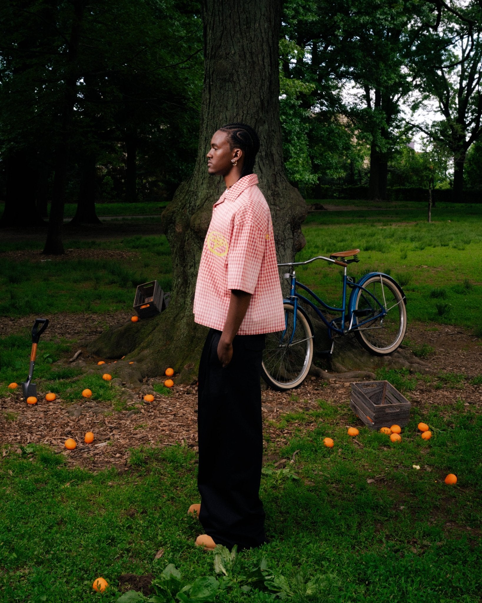 STRAWBERRY FLANNEL - STLNHRTS