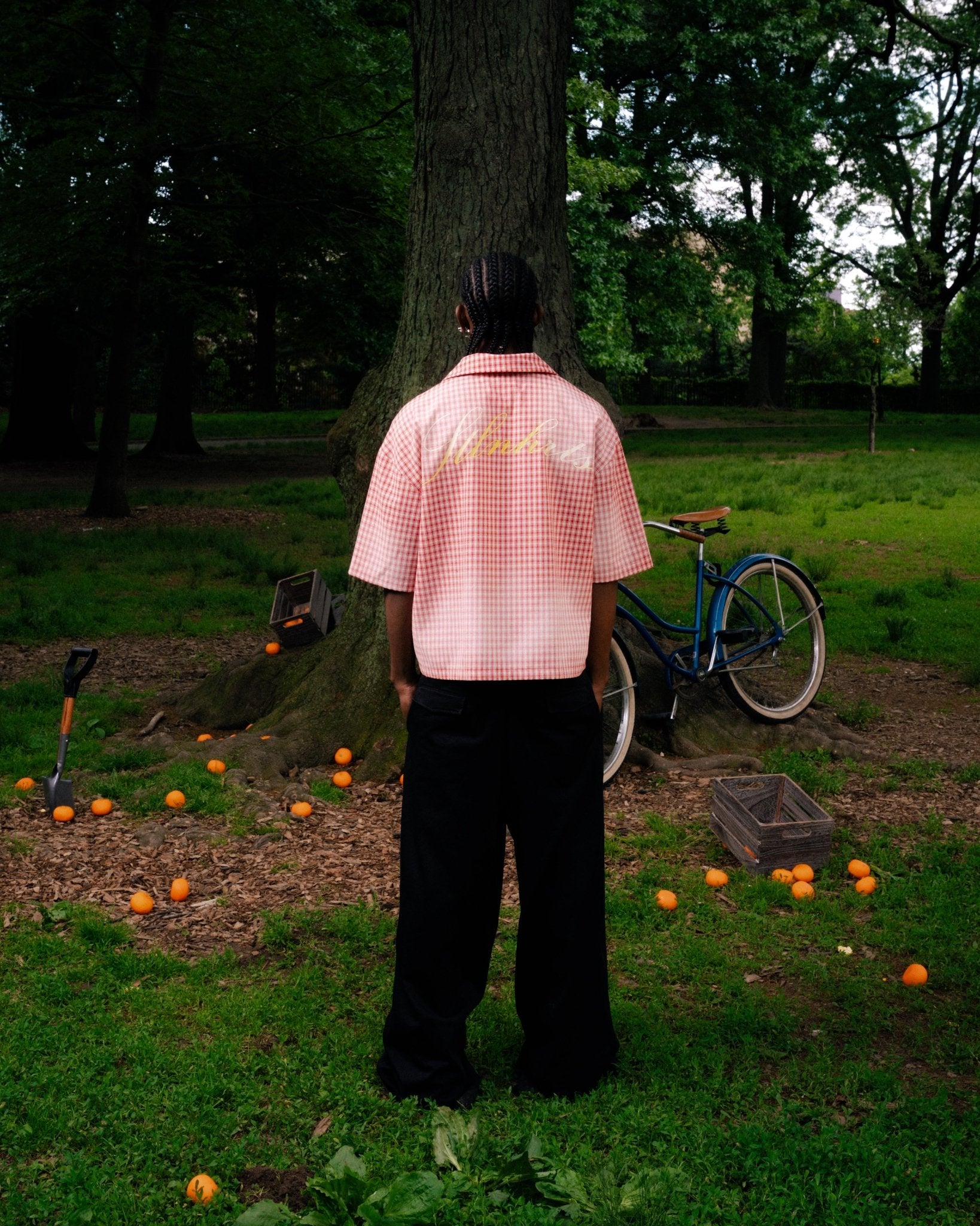 STRAWBERRY FLANNEL - STLNHRTS