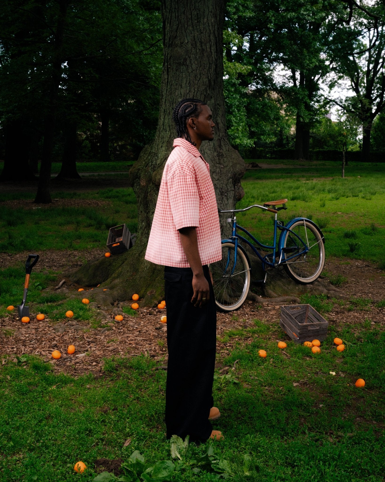 STRAWBERRY FLANNEL - STLNHRTS
